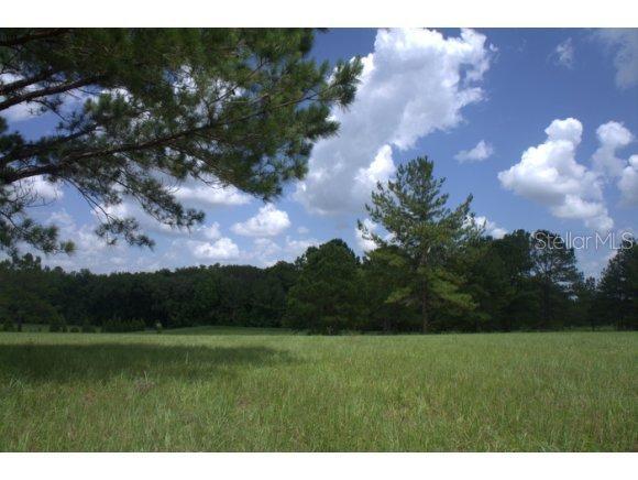 SW 144 Ct Rd., Ocala, FL 34481