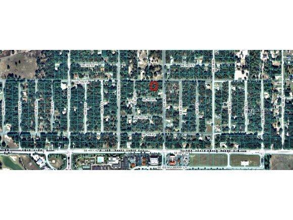 00 SE 162 Pl., Summerfield, FL 34491