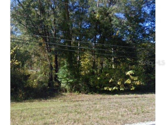 NW Gainesville Rd., Reddick, FL 32686