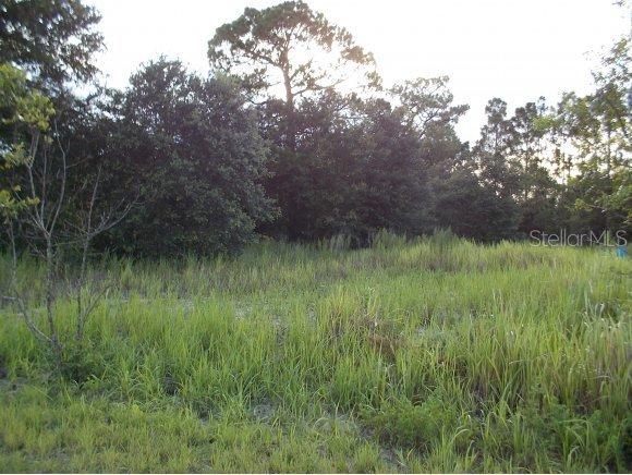 Cedar Run, Ocala, FL 34472