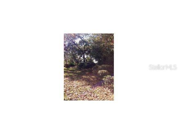 5378 SW 89 Pl., Ocala, FL 34476