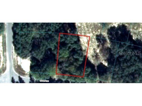 TBD Tbd Fisher Ter., Ocklawaha, FL 32179