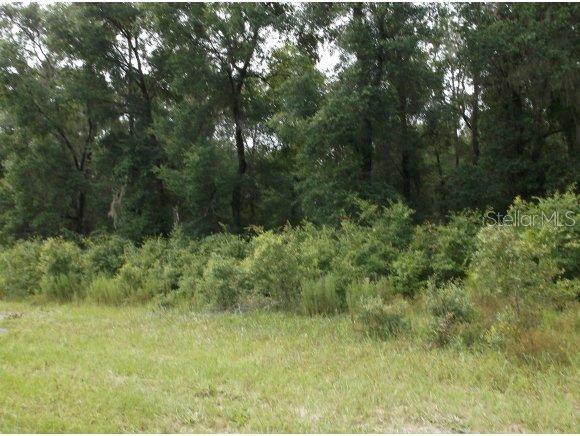 0000 Highway 484, Ocala, FL 34481