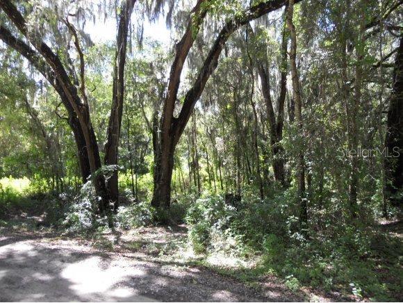 000 NE 46 St., Williston, FL 32696