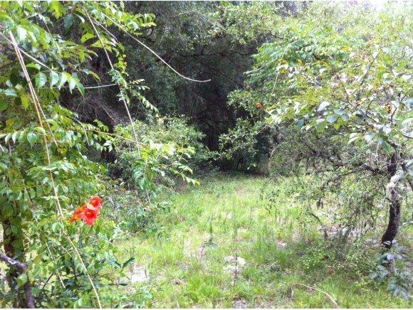 SE 147 Ln., Summerfield, FL 34491