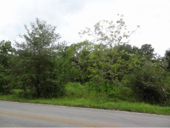 4130 NE 208 Ter., Williston, FL 32696