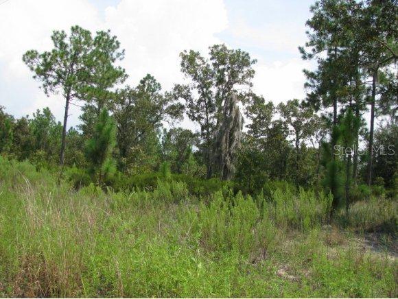 NE 150 Ave., Williston, FL 32696