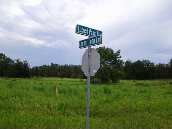 XX Xx Locust Lp Ln., Ocala, FL 34472