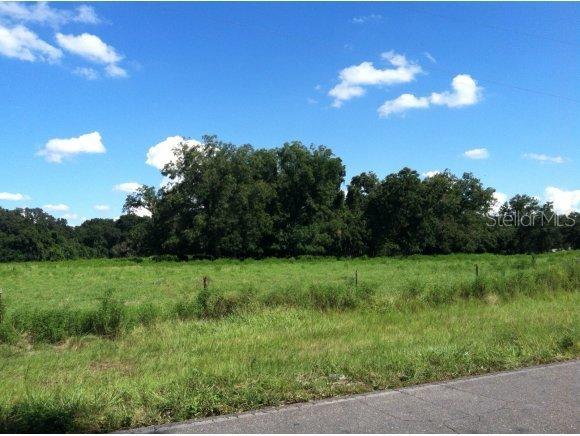 NE 205 Ave., Williston, FL 32696