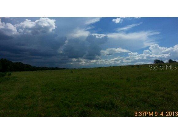 9580 150 Ave Rd., Ocklawaha, FL 32179