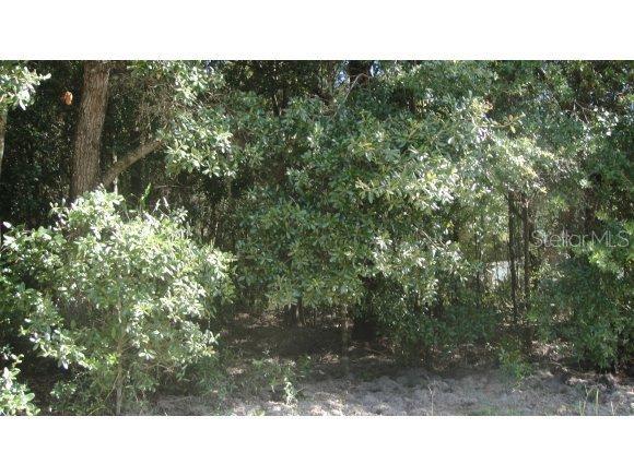 SW 160 St., Dunnellon, FL 34432