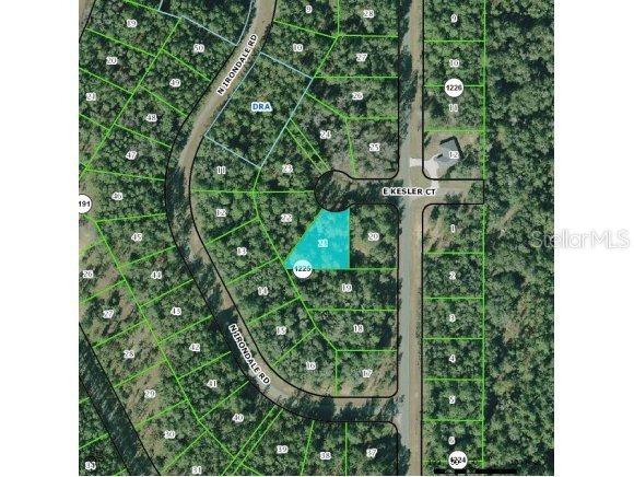 1386 E Kesler Null Ct., Citrus Springs, FL 34433