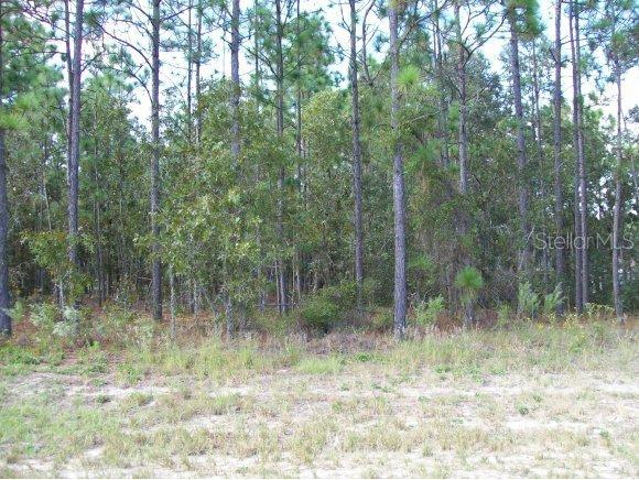 SW 132 Pl., Ocala, FL 34473