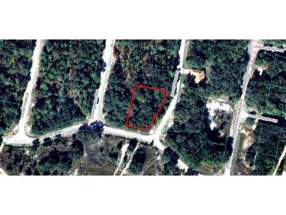 Locust Pass Dr., Ocala, FL 34472