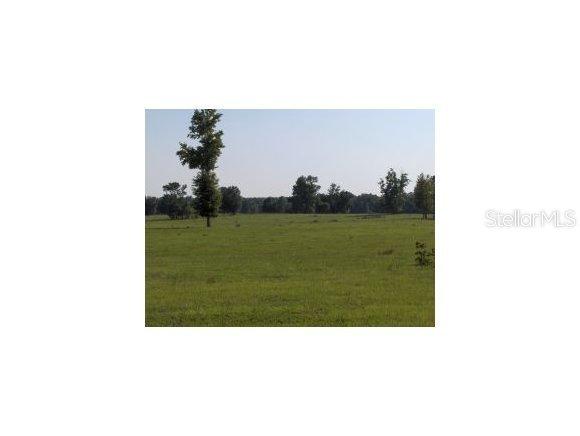 NW 75 St., Williston, FL 32696