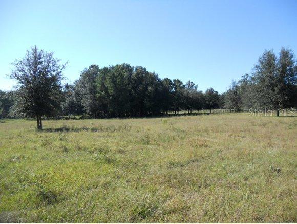 NE 60 St., Williston, FL 32696