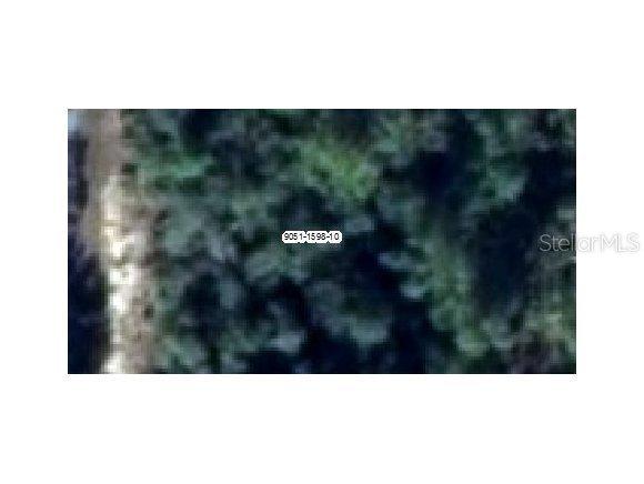 SE Locust Terrace Pl., Ocala, FL 34472