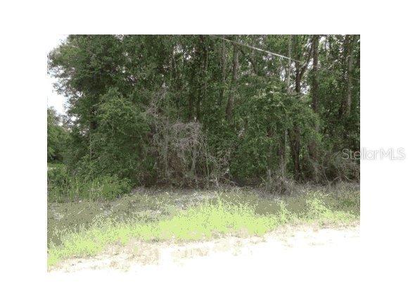 13900 SW 14th Pl., Ocala, FL 34481