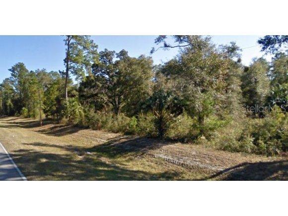 NE Highway 315 Null, Fort Mccoy, FL 32134