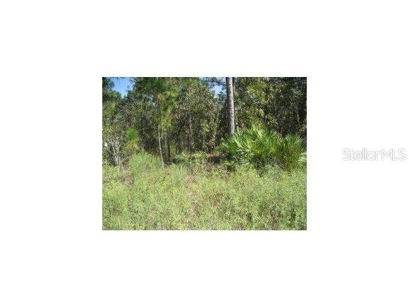 SW 165 Ave Rd., Ocala, FL 34481