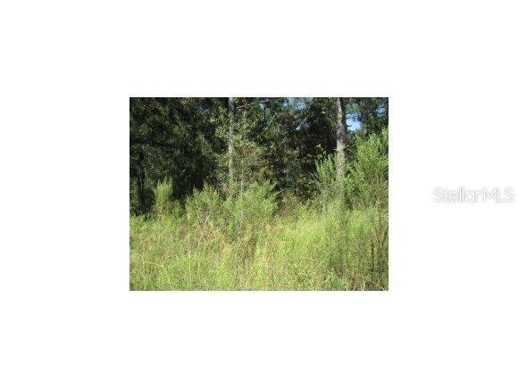SW 165 Ave Rd., Ocala, FL 34481