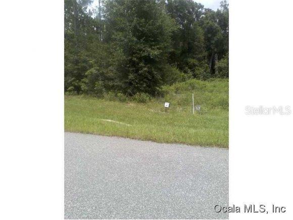 Ne 104th Cir, Oxford, FL 34484