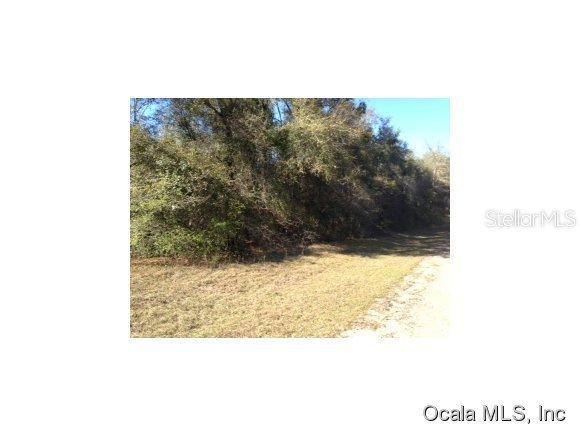 9296 N Kirkland Null Ter., Citrus Springs, FL 34434