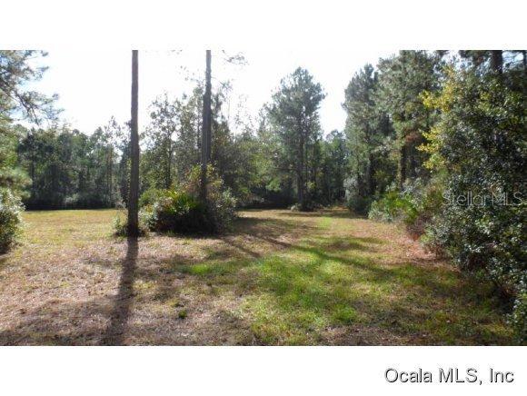 00 NE 141 Fort Ave., Fort Mccoy, FL 32134
