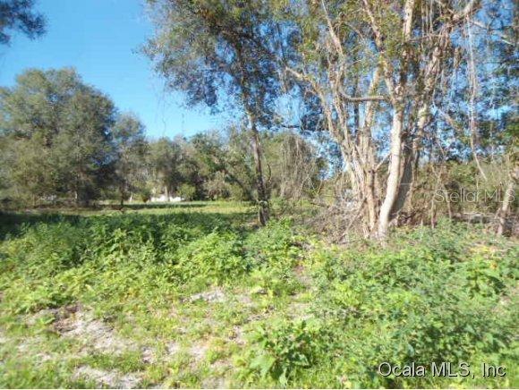 10960 SE 102 Pl., Ocala, FL 34472