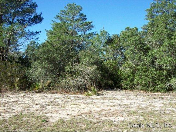 SW 42 Avenue Rd., Ocala, FL 34473