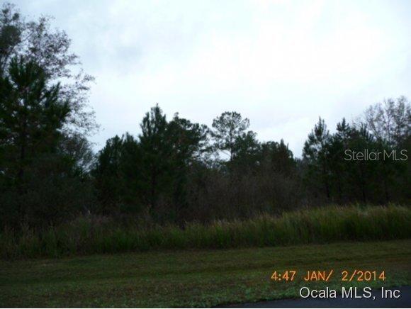 NW 147 Ct., Reddick, FL 32686