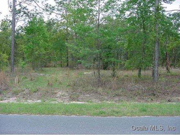 SE 37 Ln., Morriston, FL 32668