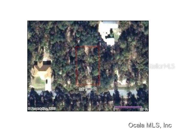 SE 158 Pl., Summerfield, FL 34491