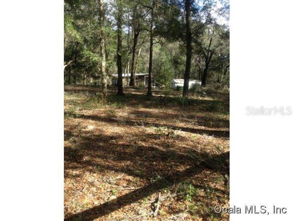 8586 SW 45 Street Rd., Ocala, FL 34481