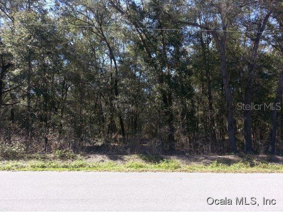 SE 81 Ct., Summerfield, FL 34491