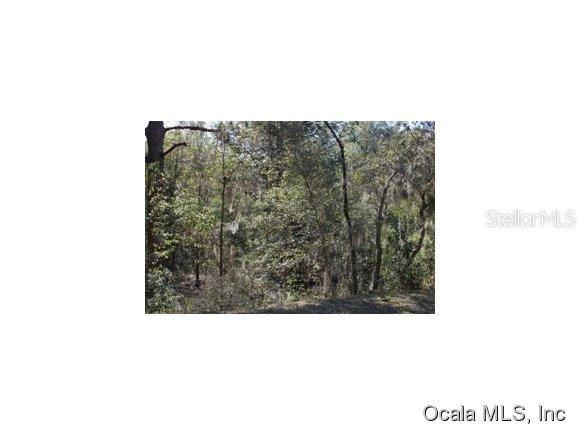 SW 207 Cir., Dunnellon, FL 34431