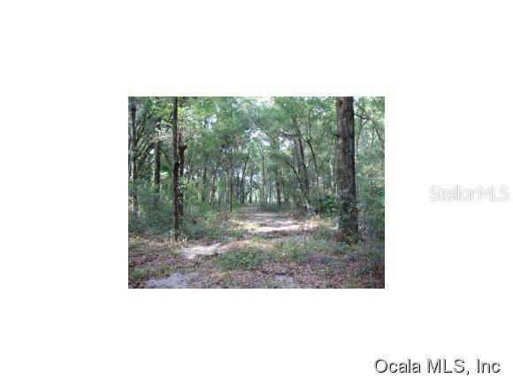 SE 58 Ave., Summerfield, FL 34491