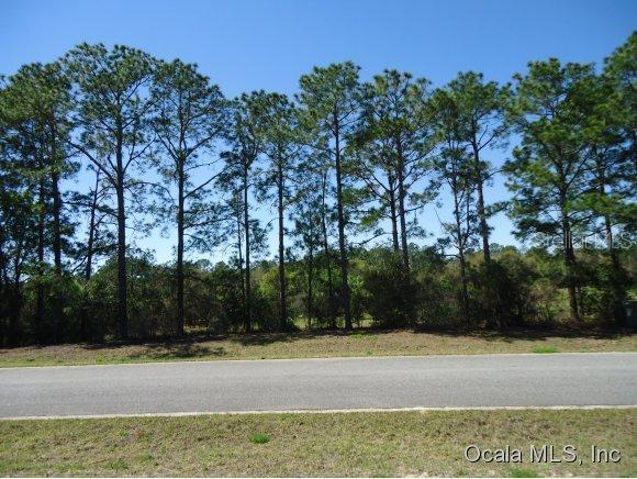 Saddle Ridge Null Ln., Lady Lake, FL 32159