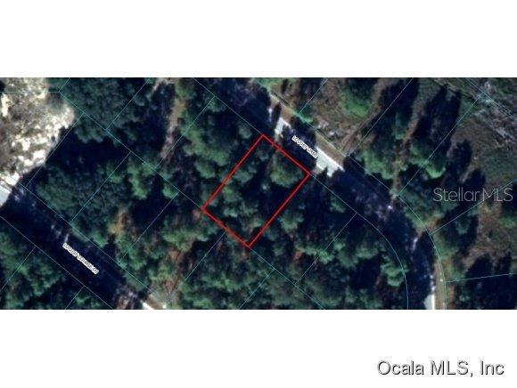 Locust Crse Ln., Ocala, FL 34472