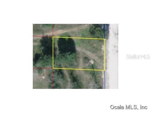 LOT 13 SW Lot 13 3 Ter., Williston, FL 32696