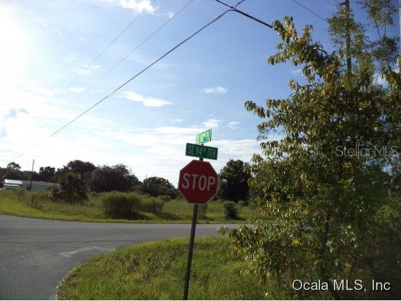 162 Pl., Summerfield, FL 34491