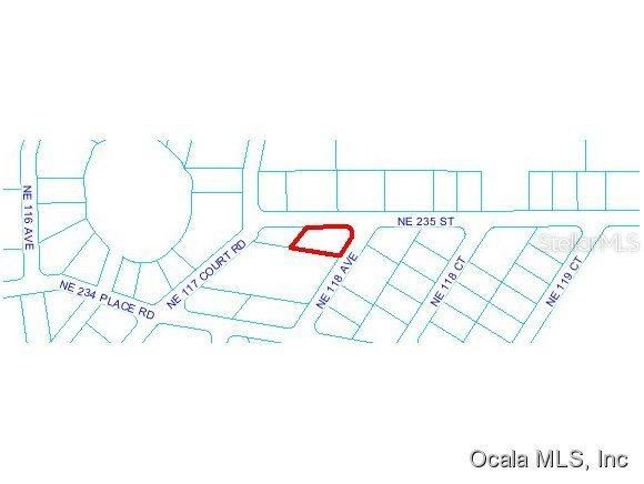 NE 118 Null Ave., Fort Mccoy, FL 32134