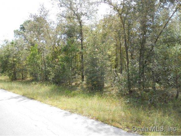 Lot 1 NE 15th St., Williston, FL 32696