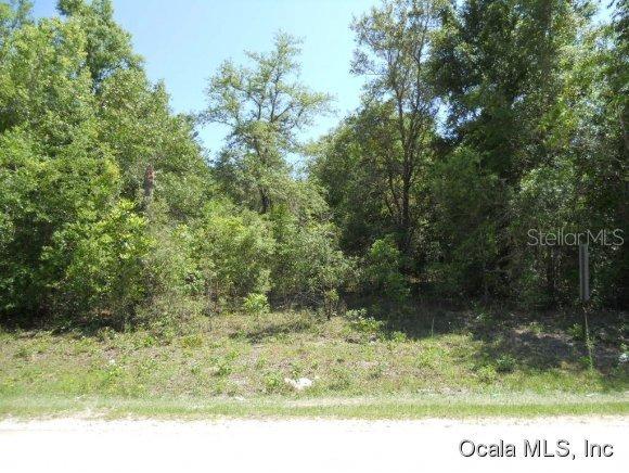 NE 49 Ln., Williston, FL 32696