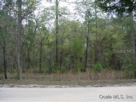 NE 127 Ct., Williston, FL 32696