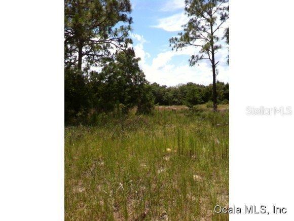 TBD Tbd Malauka Cir., Ocklawaha, FL 32179