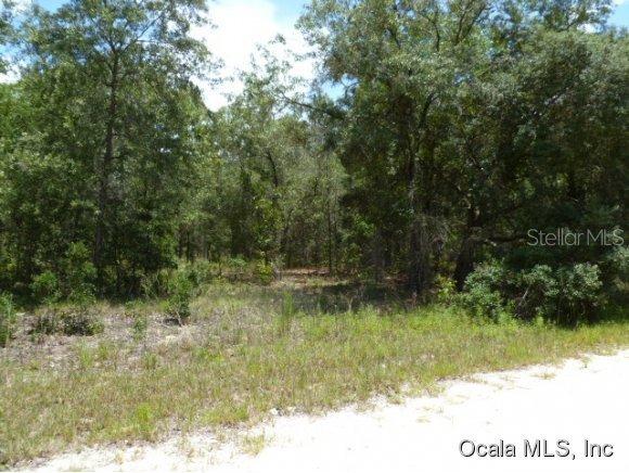 SE 142 Ter Williston Fl 3696, Williston, FL