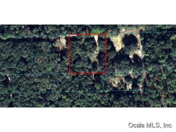 21200 SE 155 St., Umatilla, FL 32784