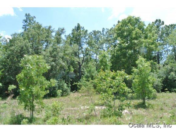 00 SW 100 St., Ocala, FL 34476