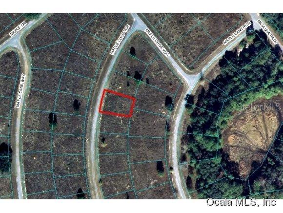 00 Maple Loop, Ocklawaha, FL 32179